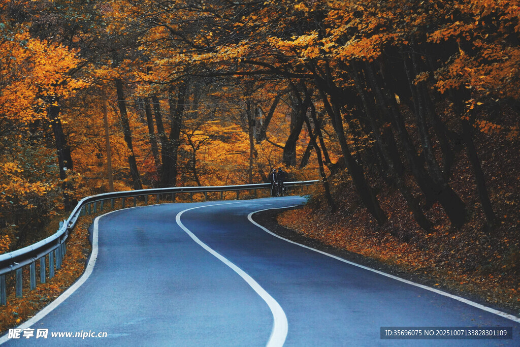 秋日蜿蜒公路风景