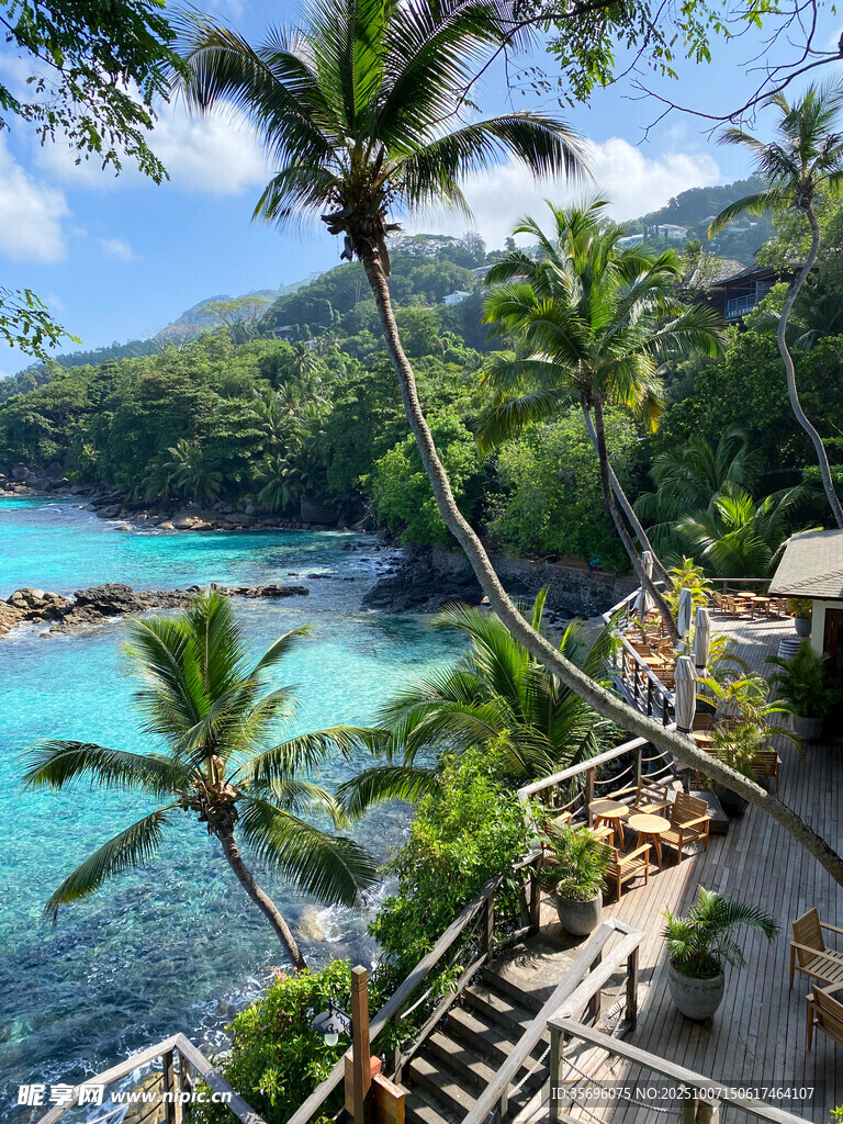 热带海滨美景与棕榈树