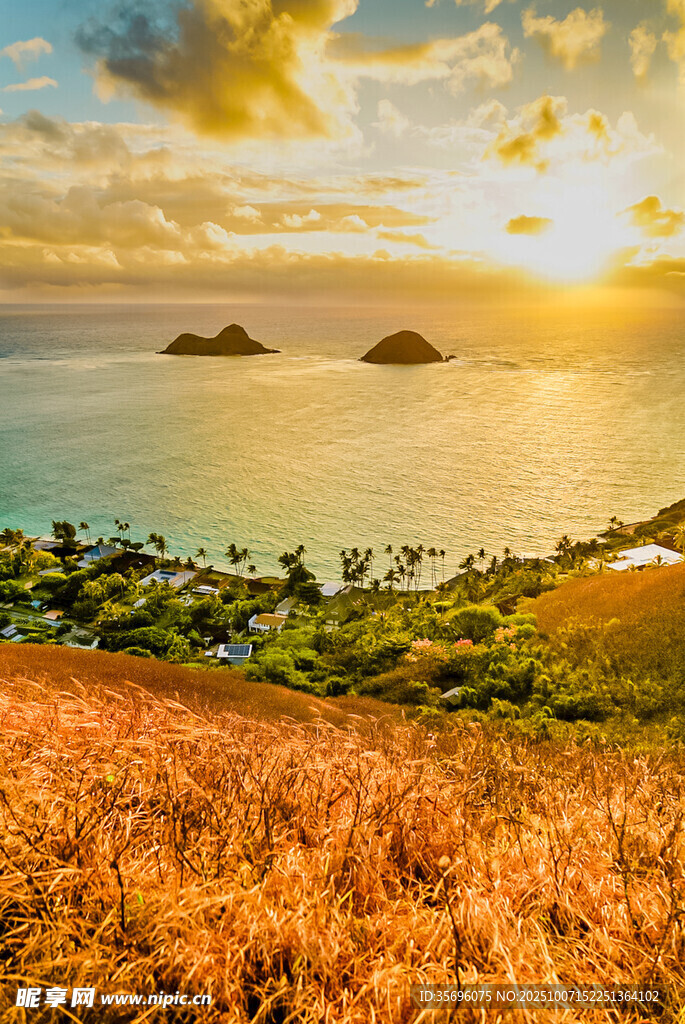 海边日落美景金色草地