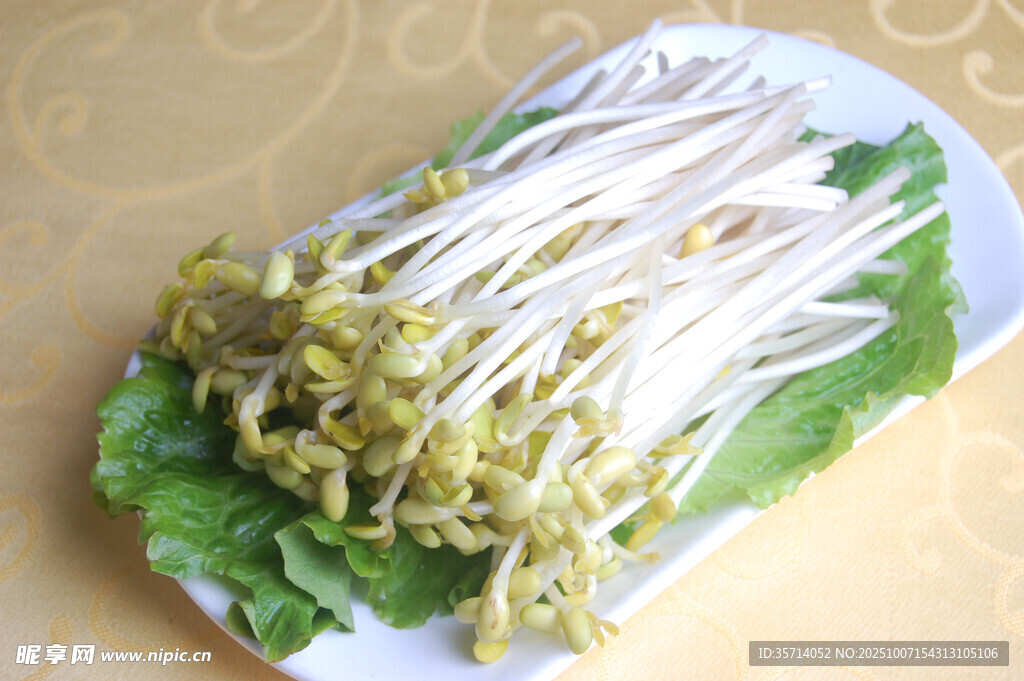 新鲜金针菇配生菜摆盘