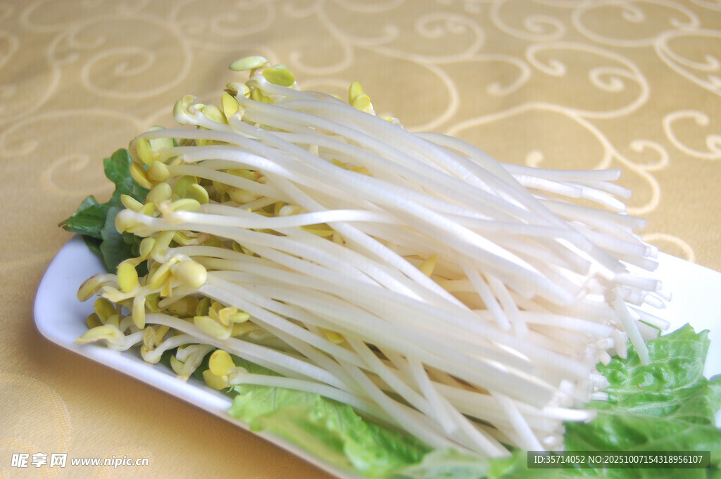 新鲜白嫩绿豆芽一盘