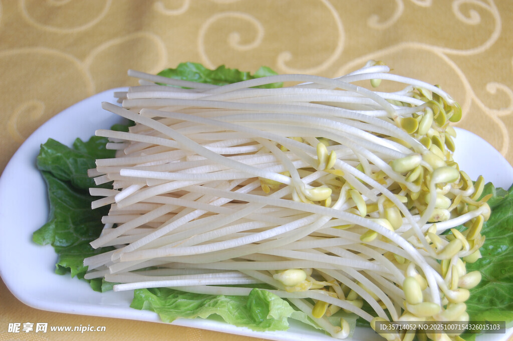 新鲜黄豆芽摆于盘中