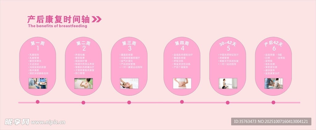 产后康复时间轴 月子中心文化墙