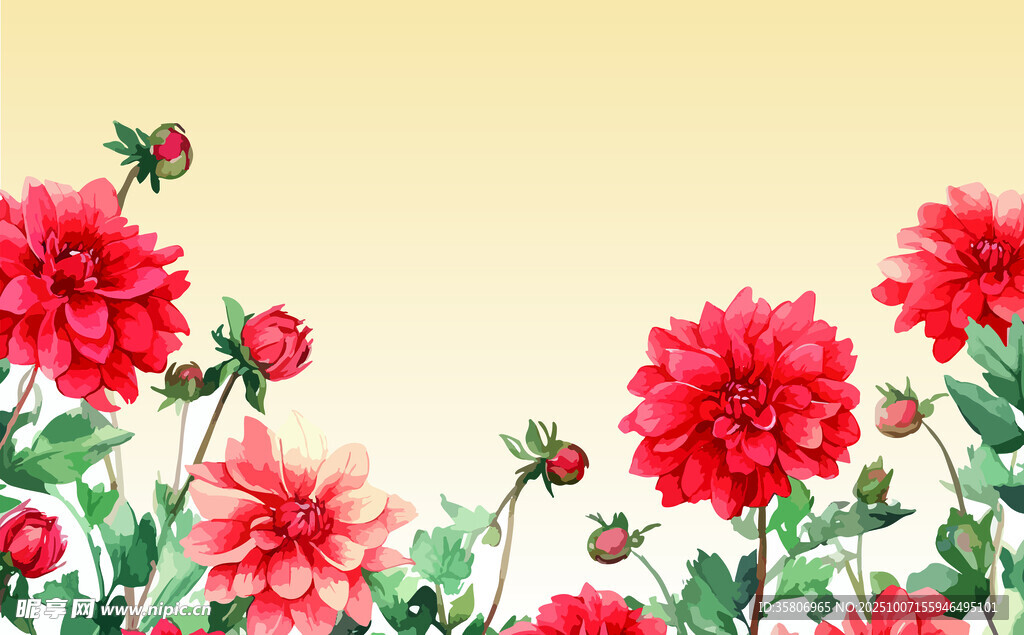 花卉背景