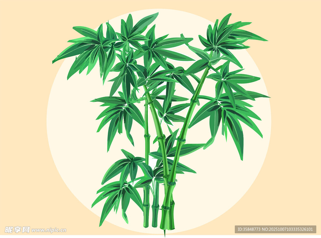 清新翠竹插画