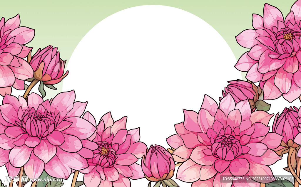 花卉边框