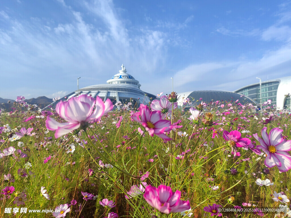 花海中的建筑景观