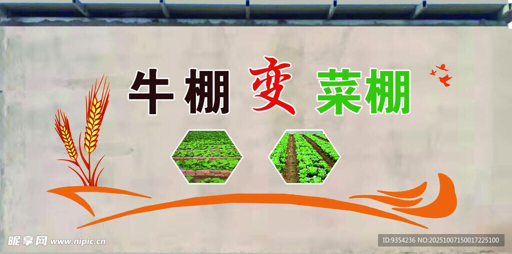 牛棚变菜棚的农业新景象