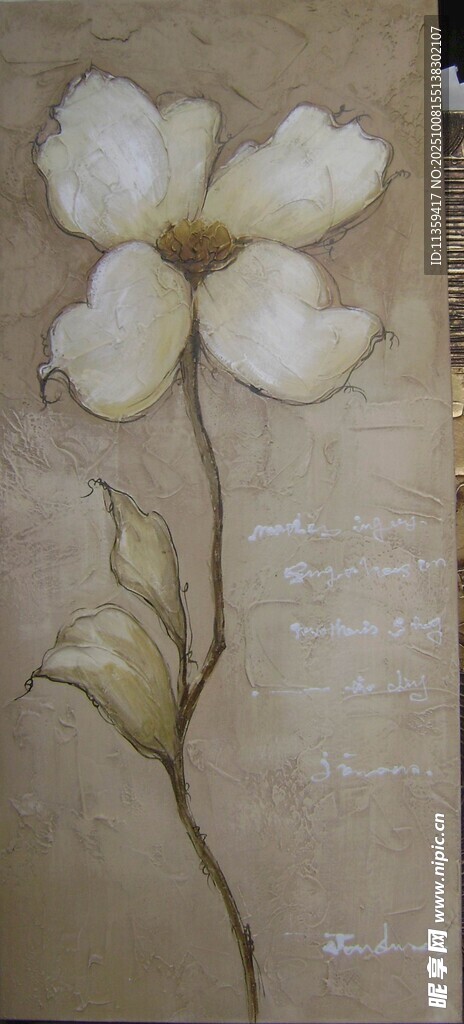 手绘白色花朵插画
