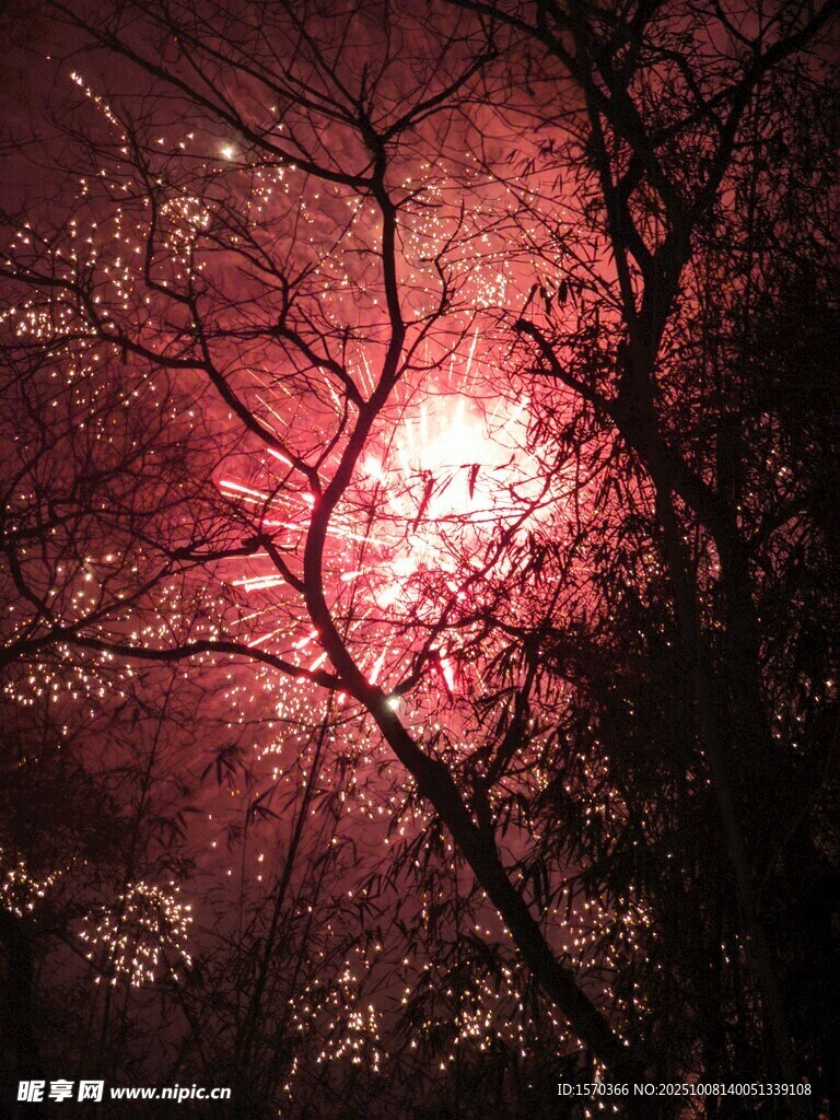 透过树枝的绚烂红色烟花