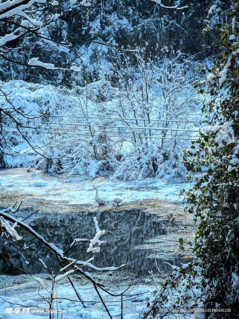 冬日雪覆溪流山林美景