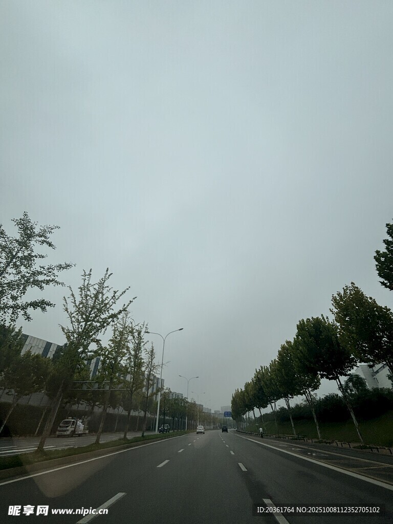雾中公路景象