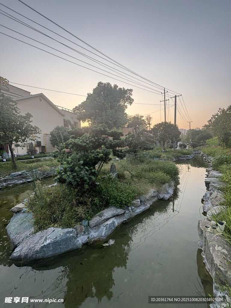 河畔晨光中的静谧自然景观