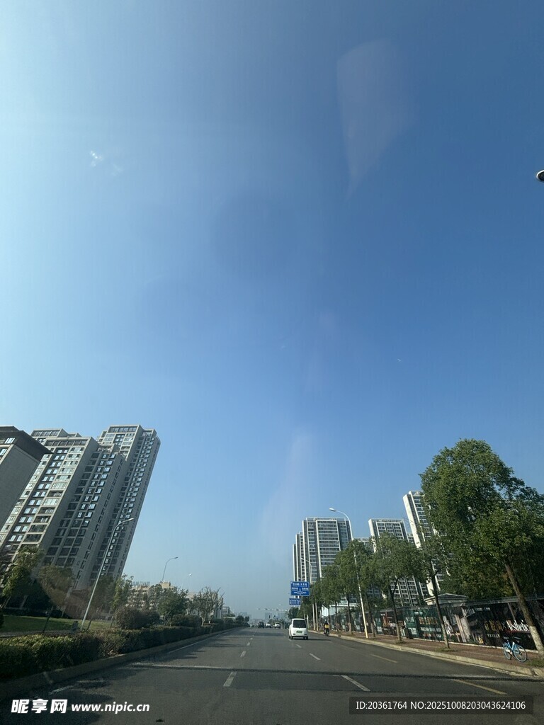城市道路旁的高楼与绿树