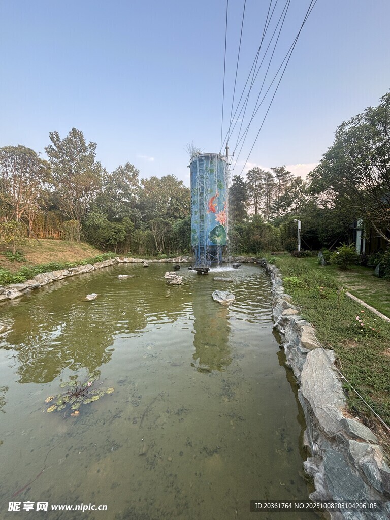 乡村池塘边的自然景致