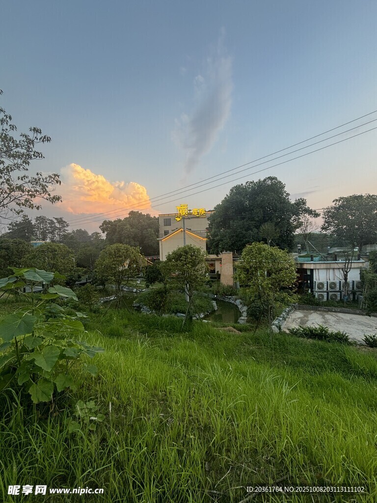 田园风光中的静谧景致