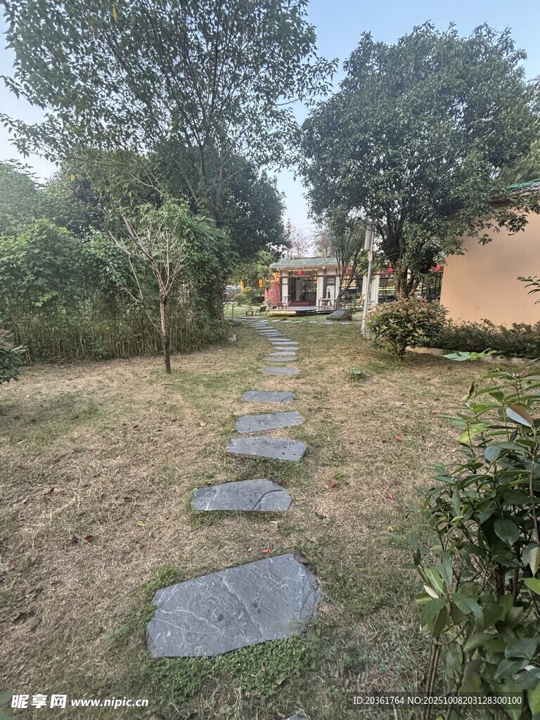 石板小径旁的静谧庭院