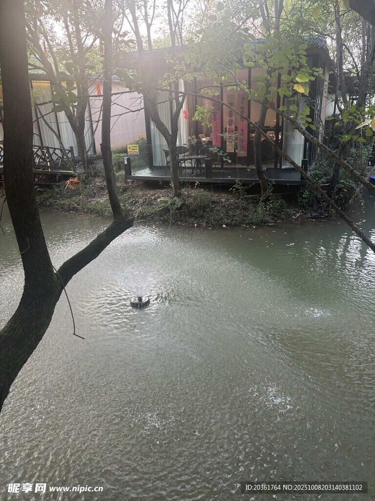 湖畔晨景