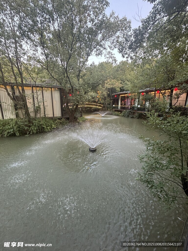 雨后积水的林间小道