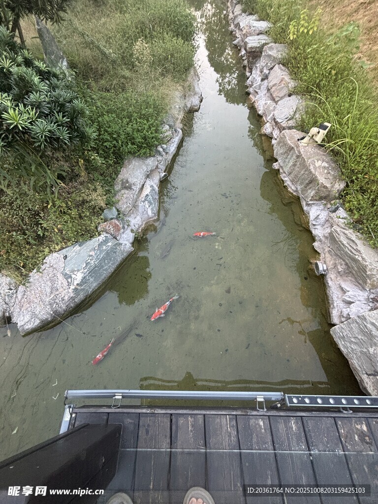 俯瞰山间清澈溪流