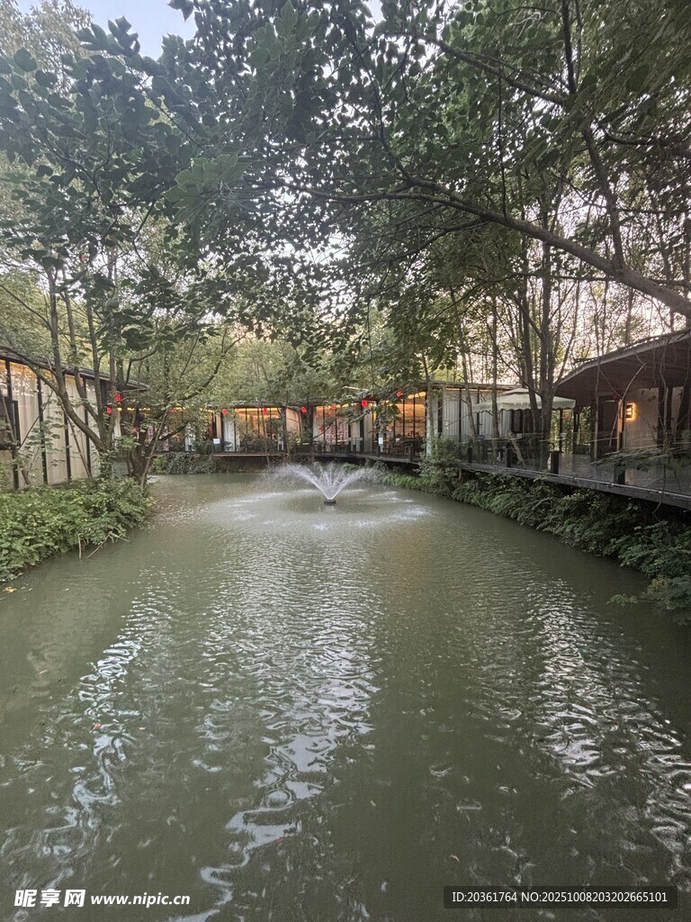 水乡河道旁的静谧景致