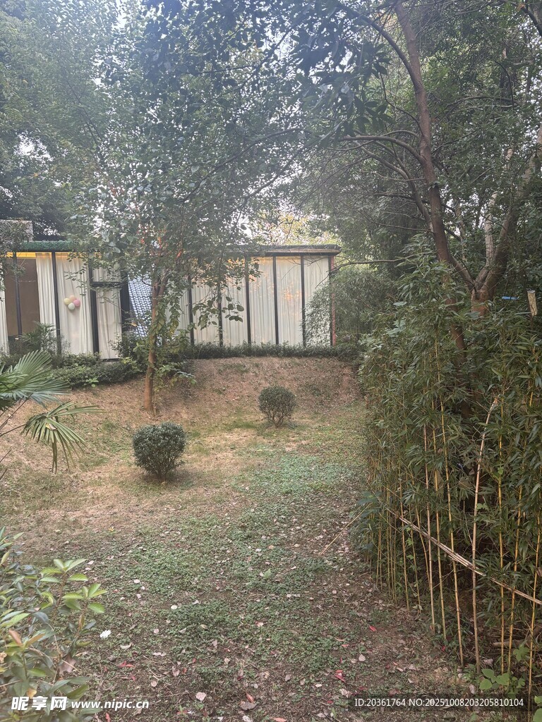 庭院绿植景观一角