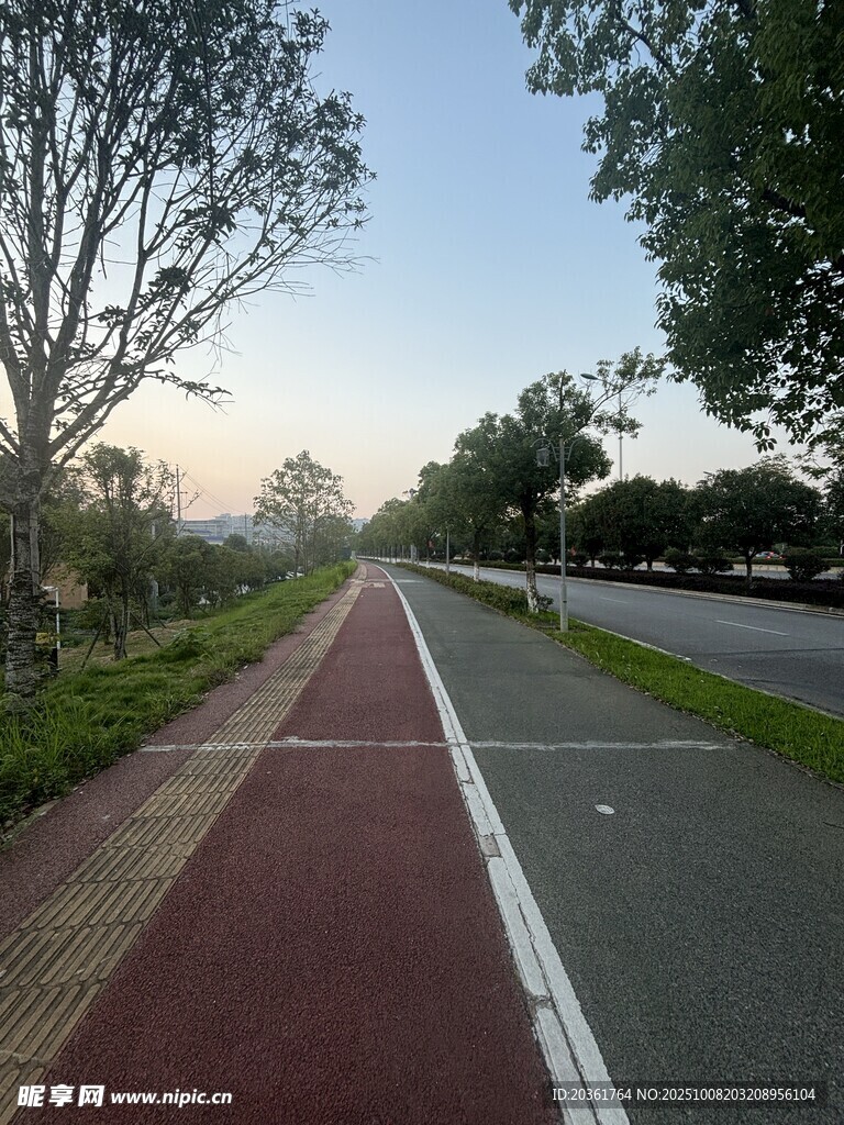 清晨静谧的户外骑行道路
