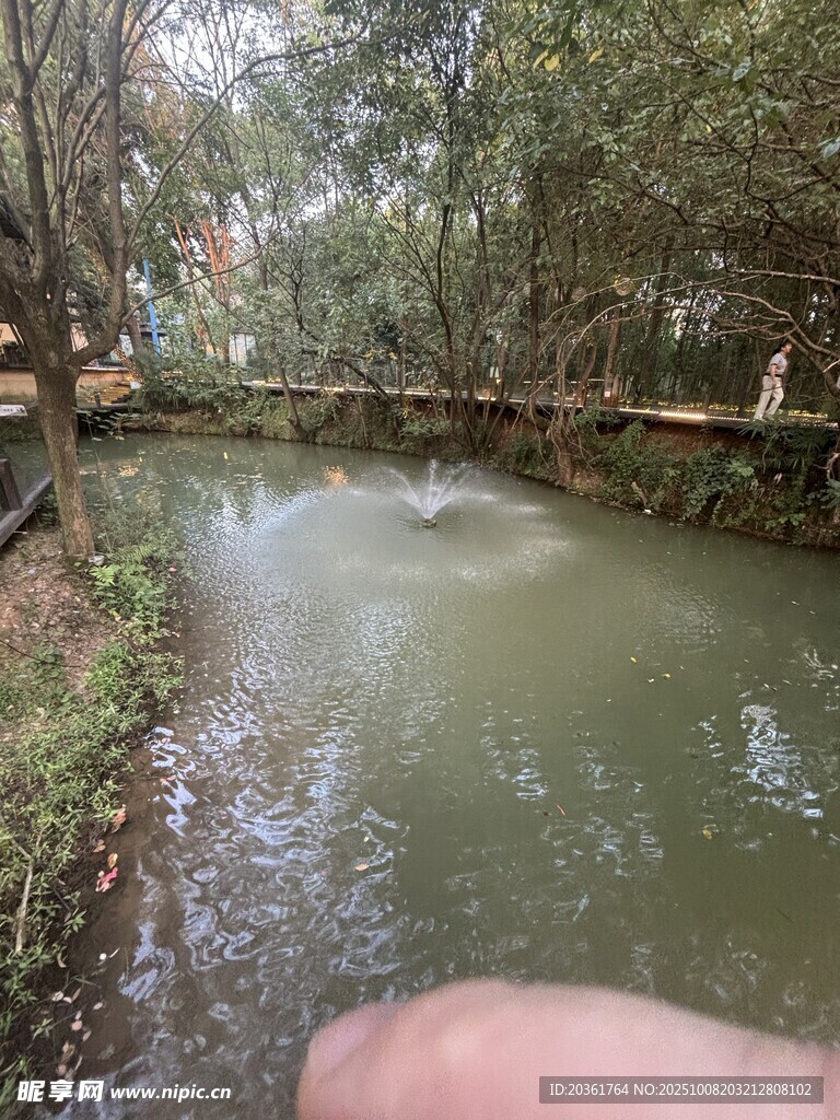 河畔自然风光近景