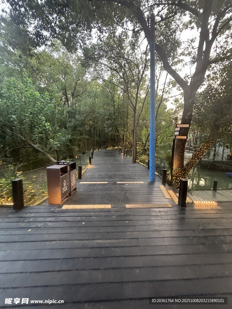 林间木质步道的静谧风光