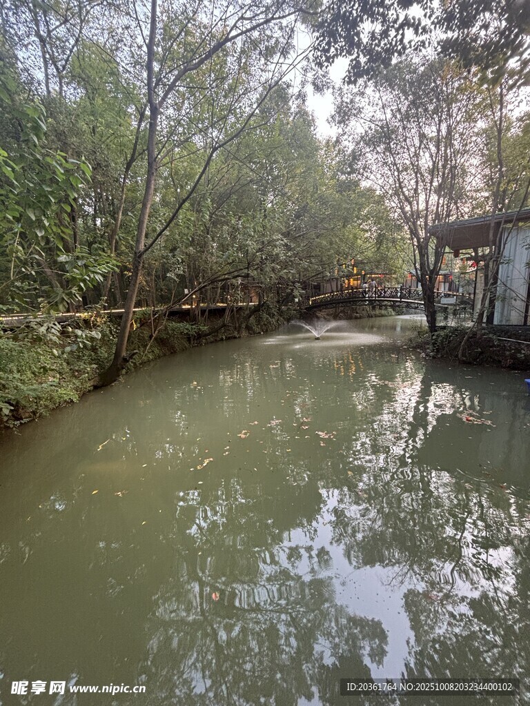 林间清幽小河