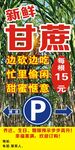 甘蔗