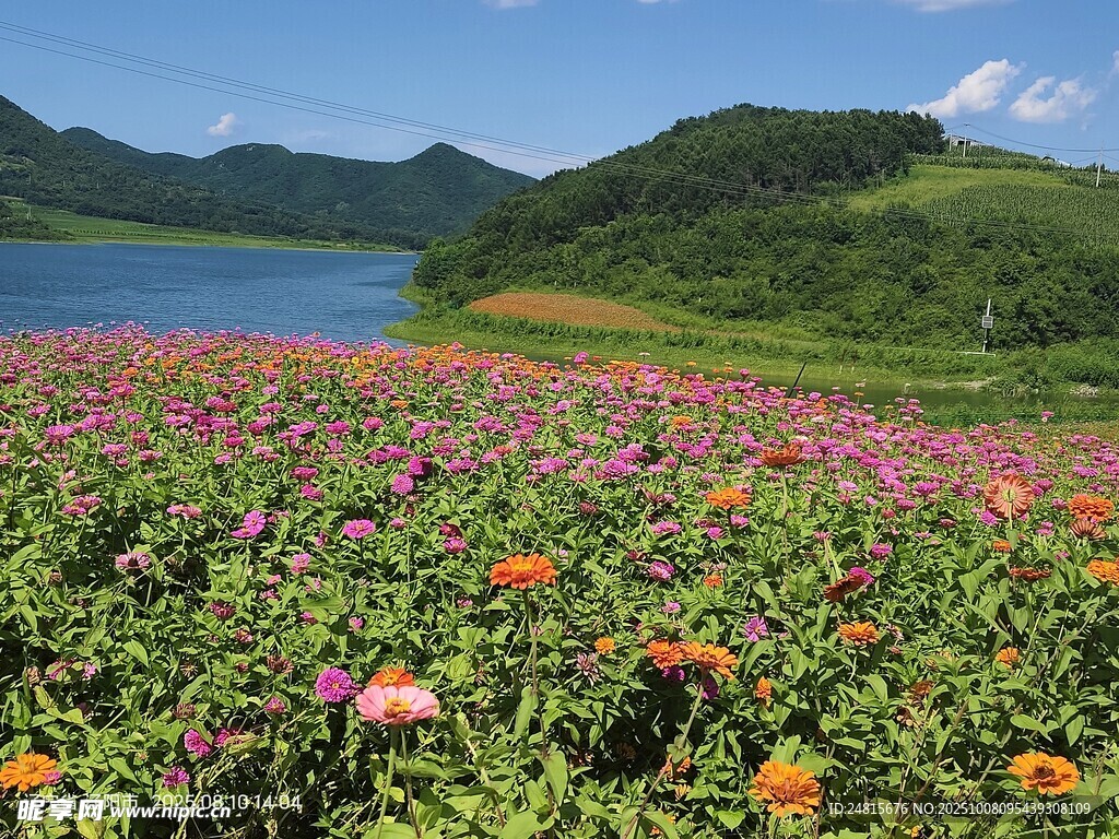 花海湖畔美景