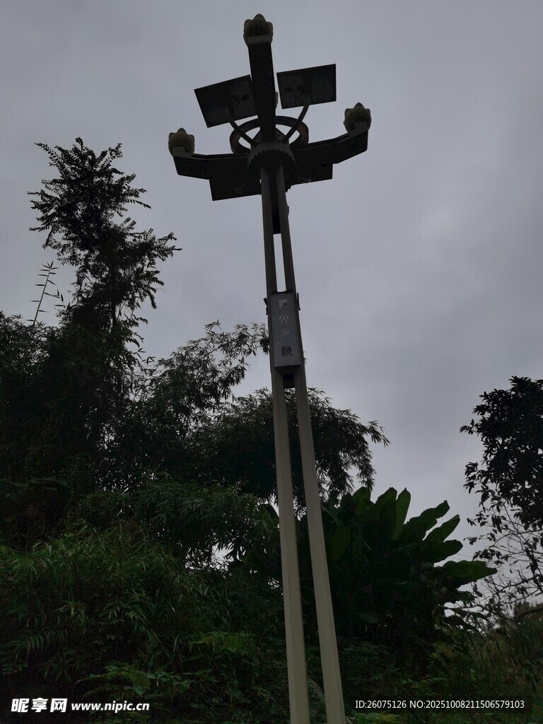 户外监测设备立于林间