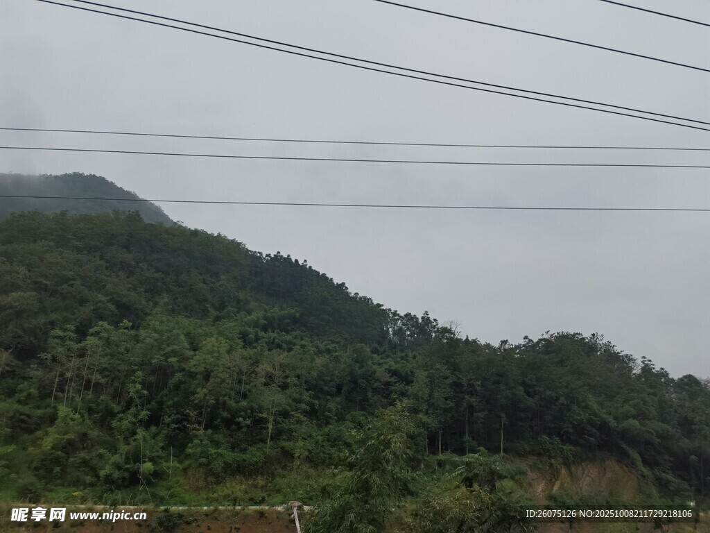 山间云雾缭绕的葱郁山林