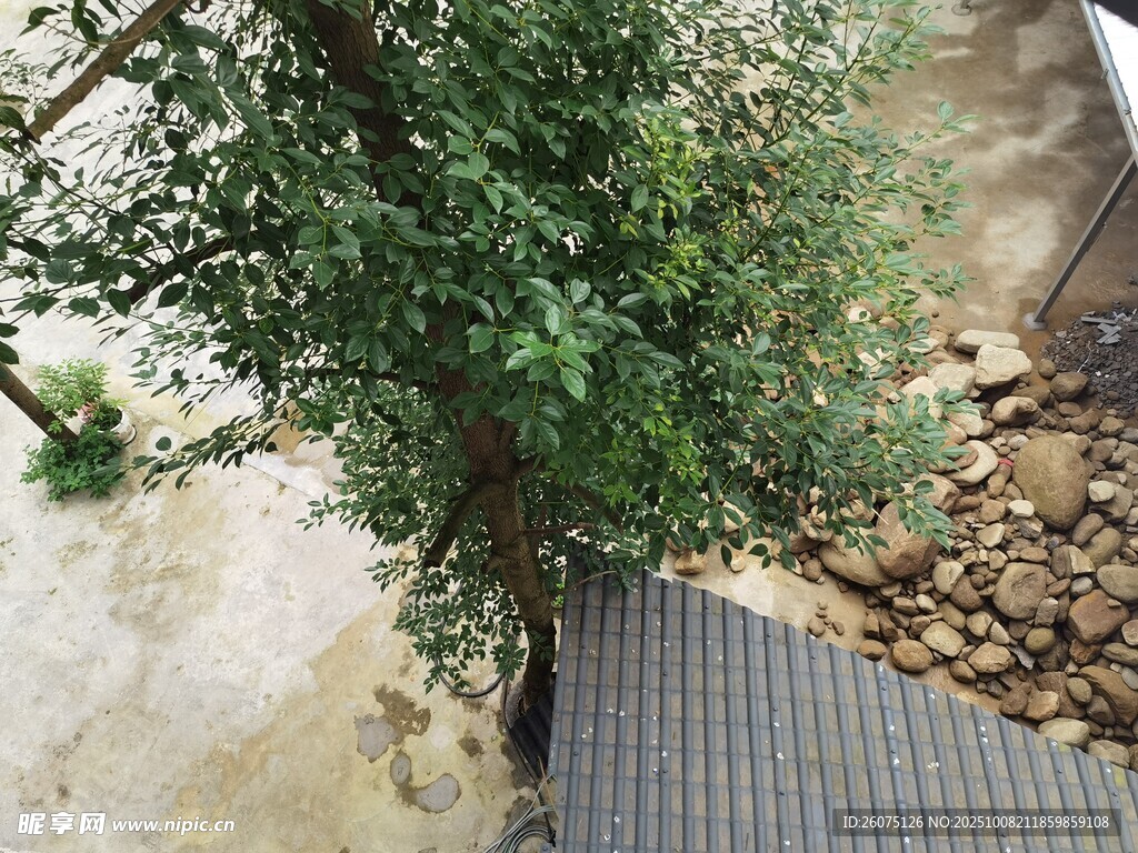 户外绿植旁的金属格栅