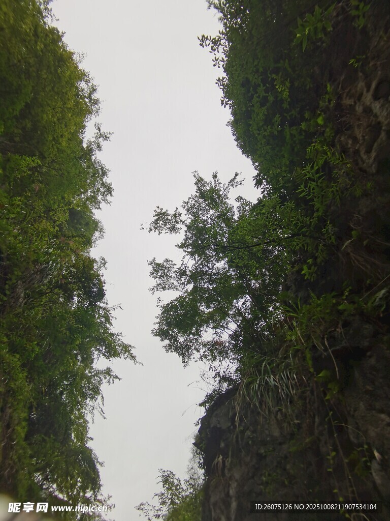 山间绿植覆盖的嶙峋岩壁