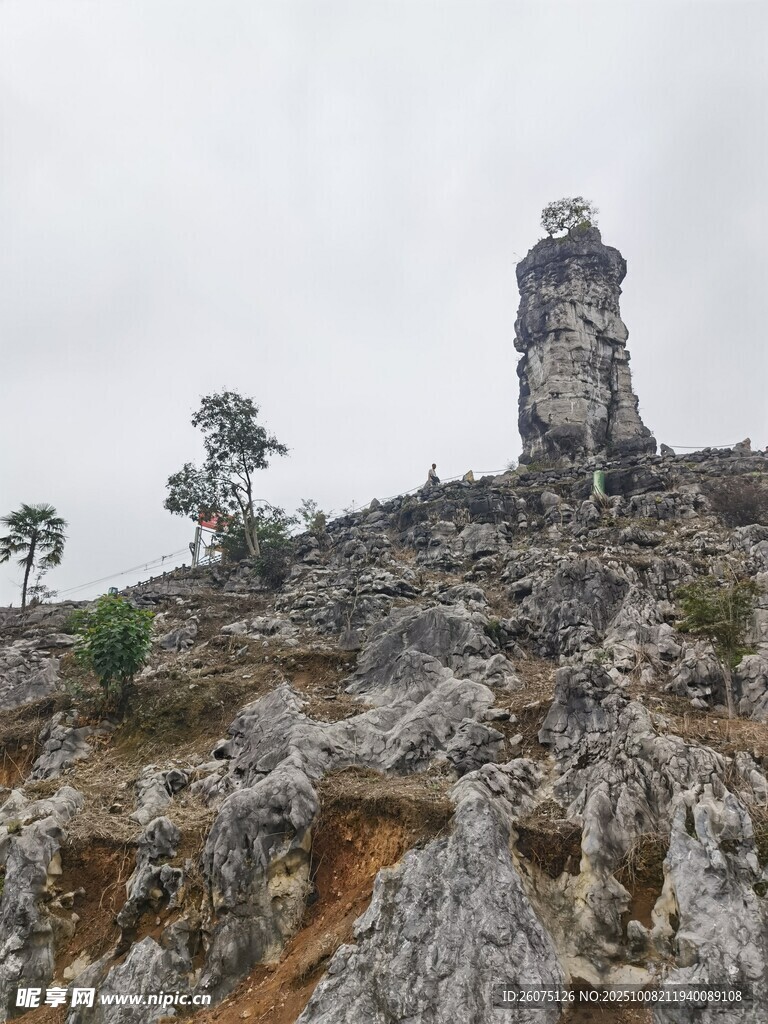 山顶孤石与稀疏树木