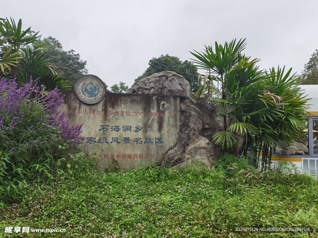 荒废遗迹被绿植环绕