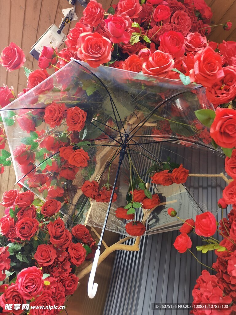 浪漫红玫瑰装饰的透明雨伞