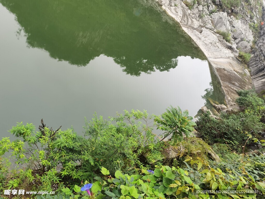 山间绿水畔的繁茂植被