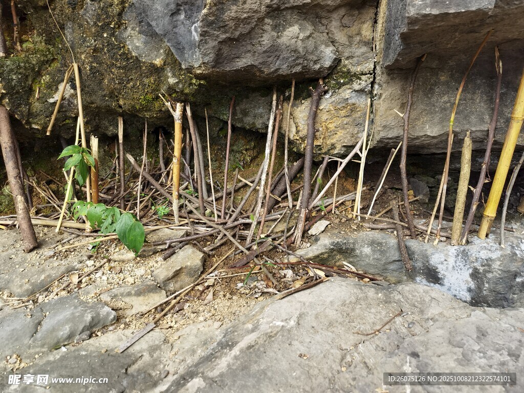 岩石下的细棍支撑景观