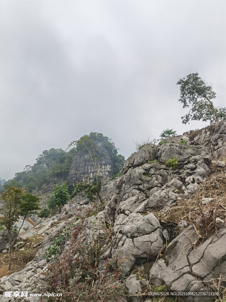 山间嶙峋岩石与孤树