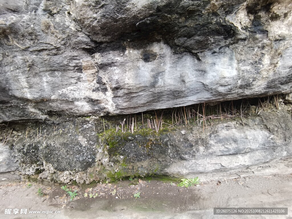 岩石下的苔藓景观