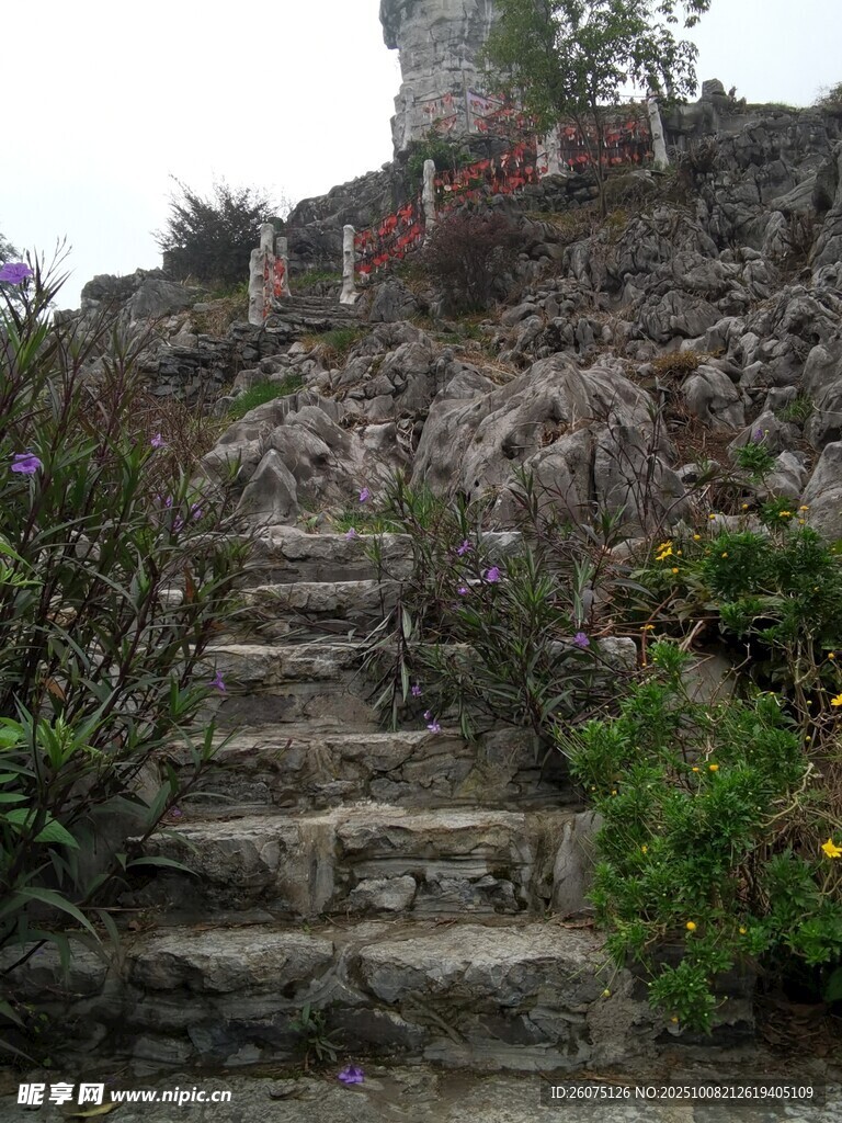 山间石阶自然野趣景致