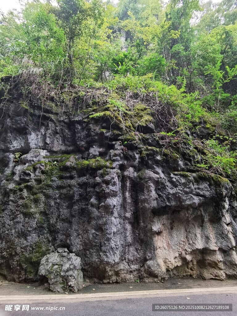 路边嶙峋岩石与繁茂绿植