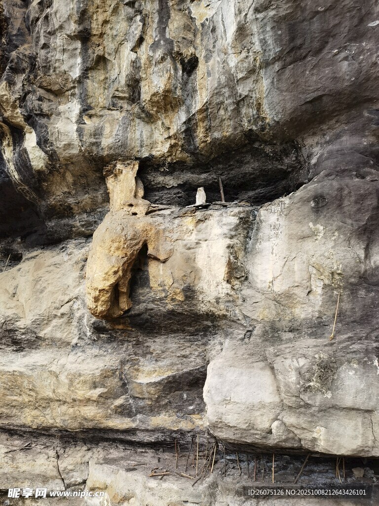 岩羊攀爬陡峭岩壁