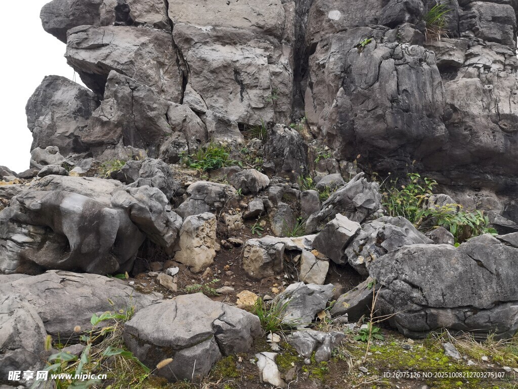 嶙峋山石景观