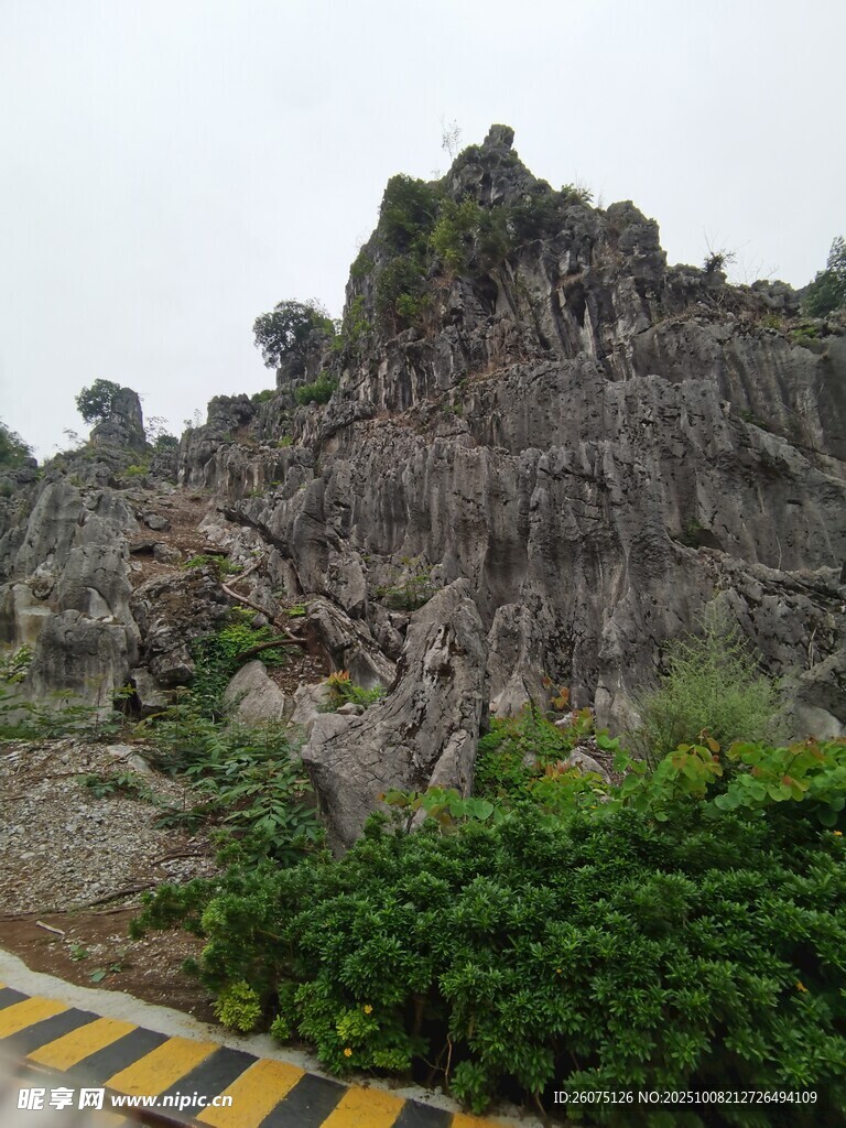 嶙峋山石旁的绿植景观