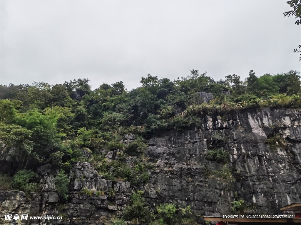 陡峭山崖上的繁茂植被