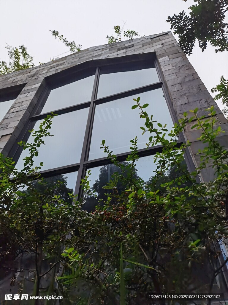 现代建筑大窗与绿植景观